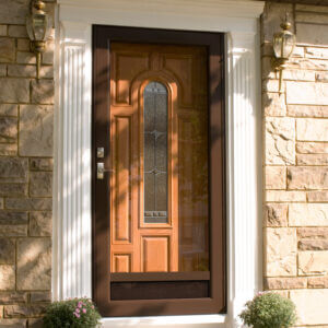 ProVia Deluxe™ Storm Doors | Big L Windows & Doors | Buffalo, NY